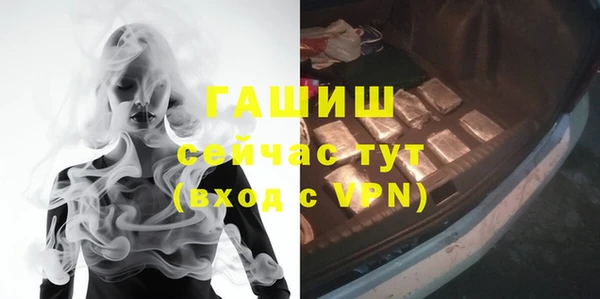 таблы Бородино