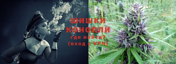 бошки Бронницы